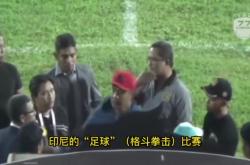 印尼运动员在拳击比赛中获得金牌